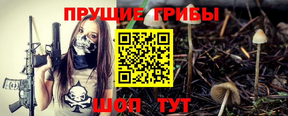 Псилоцибиновые грибы ЛСД Шахты