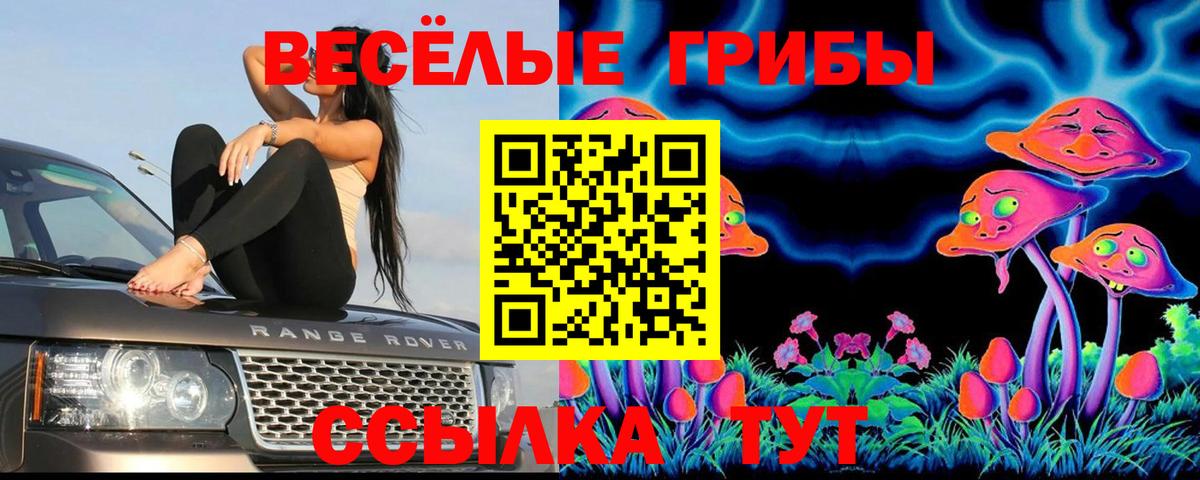 А ПВП Шахты
