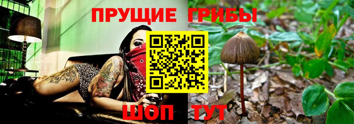 Шахты  Псилоцибиновые грибы GOLDEN TEACHER  Вход с VPN 