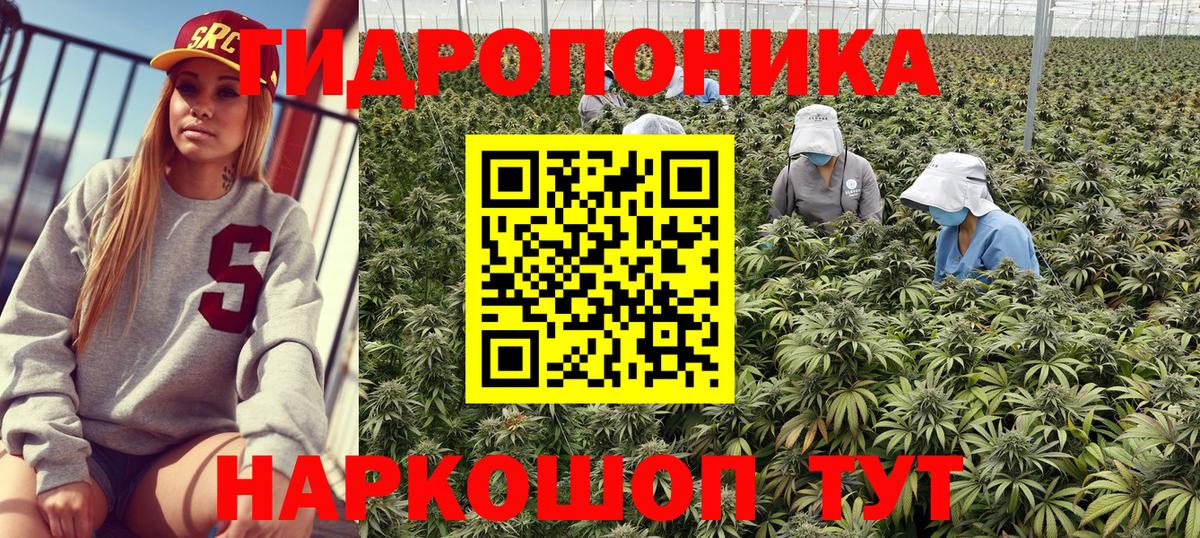Шахты  Бошки Шишки MAZAR  Вход с VPN  Бошки марихуана гибрид  Каннабис семена 